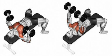 Flat dumbbell bench press, a chest exercise