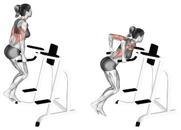 Parallel dips, a strength exercise for girls