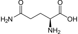 What is glutamine for?