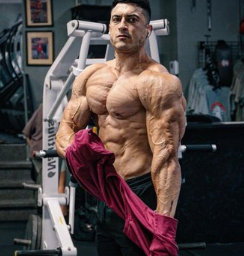 The physique of the Spanish bodybuilder Jorge Tabet