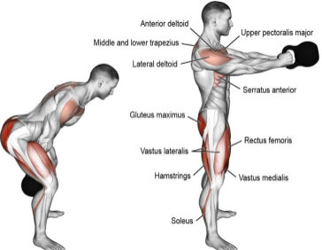 No balanço do kettlebell, quais músculos estão envolvidos