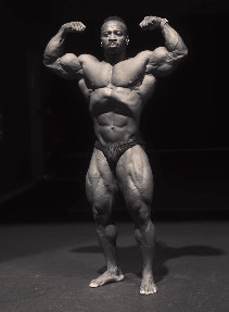 Madelman posant des doubles biceps avant
