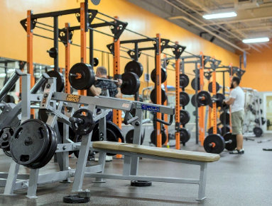 hammer equipment for gyms