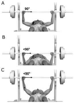 Ideal grip width in the bench press