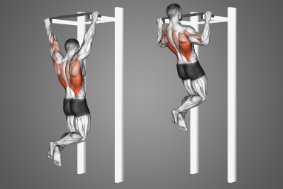 Pull-ups, an exercise for the muscle up