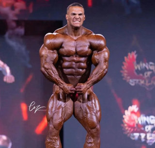 Ästhetik des Bodybuilders Nick Walker