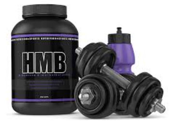 Suplemento de HMB no plano nutricional muscular para ectomorfos