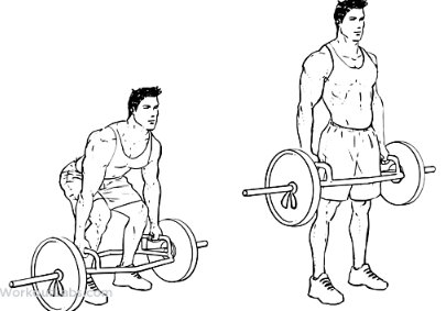 Hex Bar Deadlift