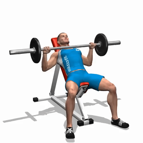 this is how to do an incline barbell press correctly