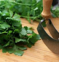 Add parsley to your dishes, which has vegetable proteins to lose weight