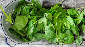 Spinach contains the best vegetable proteins