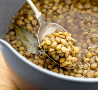 The natural vegetable proteins of lentils