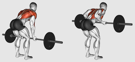 Bent-over barbell row