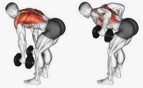 Dumbbell Pendlay Row