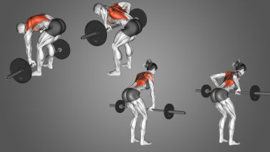 What is the difference between the Pendlay row and the bent-over row?