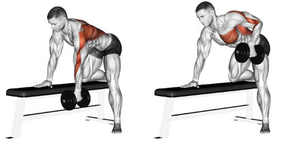 Dumbbell rowing exercise with neutral grip
