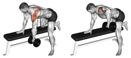 Exercício de remada com halteres com pegada overhand