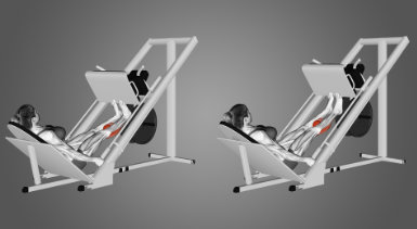 Calf extension exercise in leg press