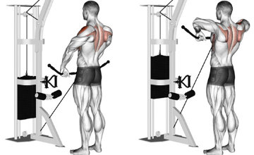 Upright pulley row