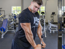 Arm exercises in the gym for men