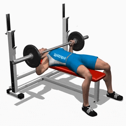 How to bench press in a 4-day routine