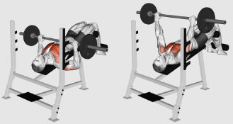 Decline Barbell Bench Press