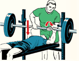 Spotter for bench press 3