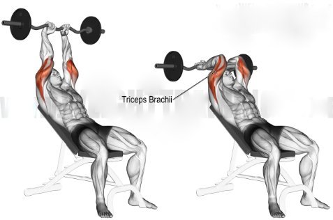 Incline Bench Z-Bar Triceps French Press