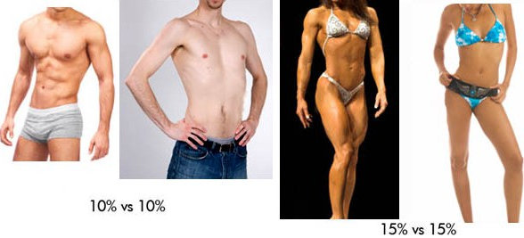 abdominal muscles body fat percentages