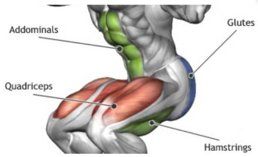 piernas musculos sentadillas