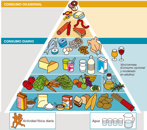 ingesta de proteinas en la pirámide nutricional 