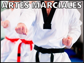 tienda-artes-marciales-online